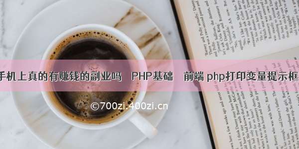 手机上真的有赚钱的副业吗 – PHP基础 – 前端 php打印变量提示框