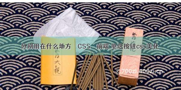 分别用在什么地方 – CSS – 前端 单选按钮css美化