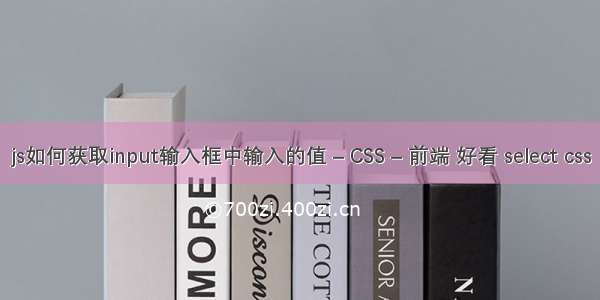 js如何获取input输入框中输入的值 – CSS – 前端 好看 select css