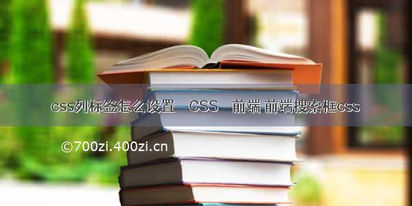 css列标签怎么设置 – CSS – 前端 前端搜索框css