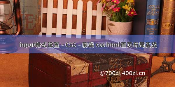 input格式设置 – CSS – 前端 css html首页布局实战