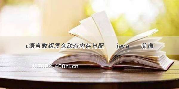 c语言数组怎么动态内存分配 – java – 前端