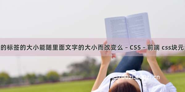 vb的标签的大小能随里面文字的大小而改变么 – CSS – 前端 css块元素 .