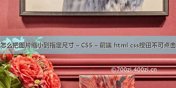 怎么把图片缩小到指定尺寸 – CSS – 前端 html css按钮不可点击