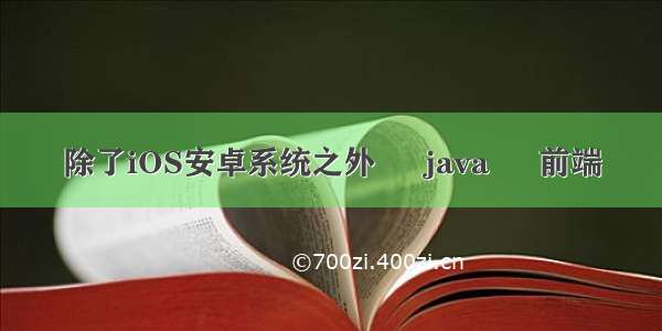 除了iOS安卓系统之外 – java – 前端