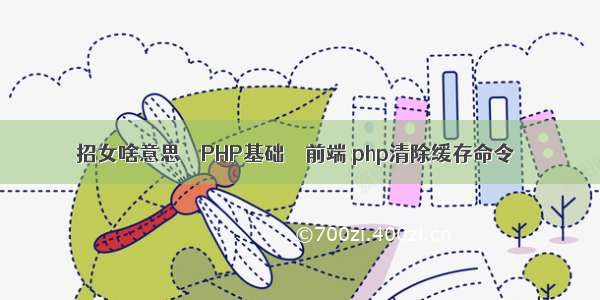 招女啥意思 – PHP基础 – 前端 php清除缓存命令