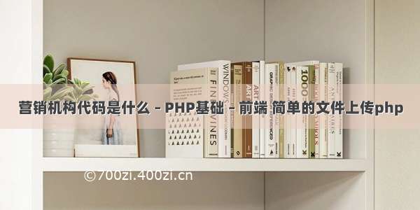 营销机构代码是什么 – PHP基础 – 前端 简单的文件上传php