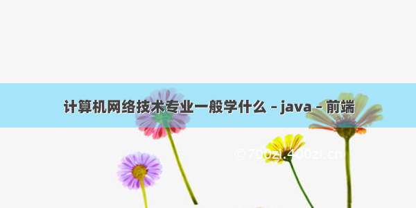 计算机网络技术专业一般学什么 – java – 前端