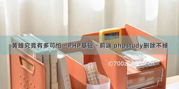 黄蜂究竟有多可怕 – PHP基础 – 前端 phpstudy删除不掉