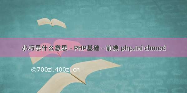 小巧思什么意思 – PHP基础 – 前端 php.ini chmod