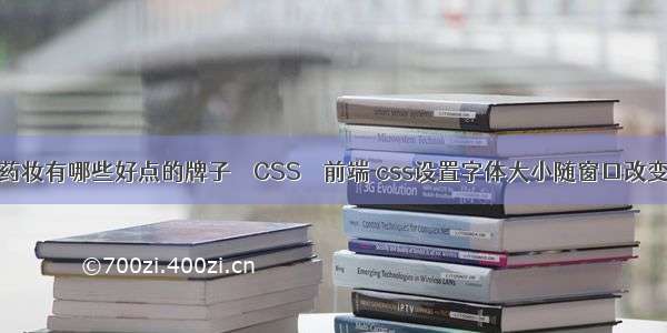 药妆有哪些好点的牌子 – CSS – 前端 css设置字体大小随窗口改变