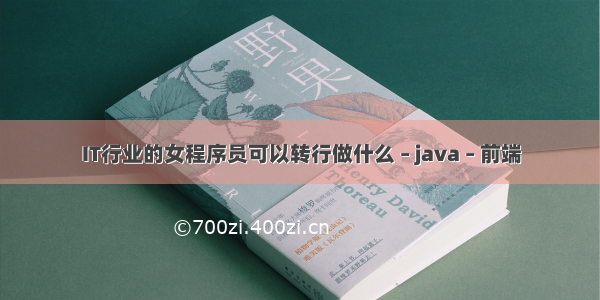 IT行业的女程序员可以转行做什么 – java – 前端