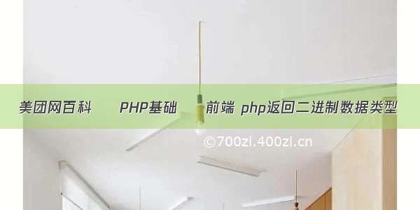 美团网百科 – PHP基础 – 前端 php返回二进制数据类型