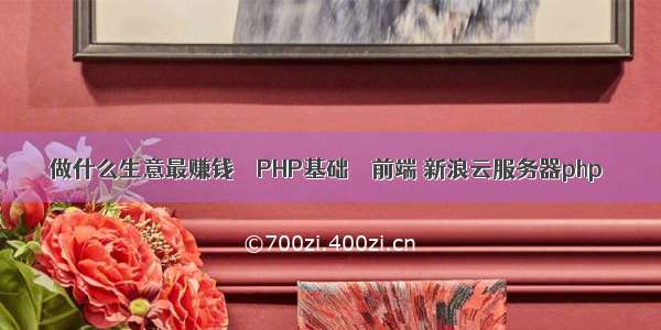 做什么生意最赚钱 – PHP基础 – 前端 新浪云服务器php