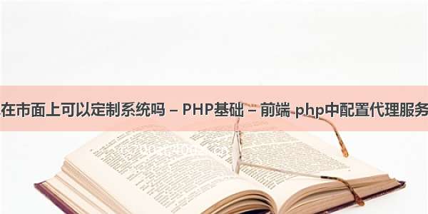 现在市面上可以定制系统吗 – PHP基础 – 前端 php中配置代理服务器