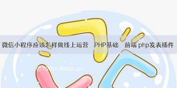 微信小程序应该怎样做线上运营 – PHP基础 – 前端 php发表插件