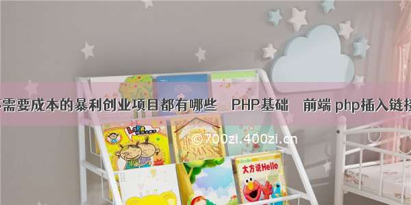 不需要成本的暴利创业项目都有哪些 – PHP基础 – 前端 php插入链接