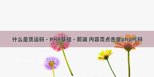 什么是货运码 – PHP基础 – 前端 内容页点击量php代码