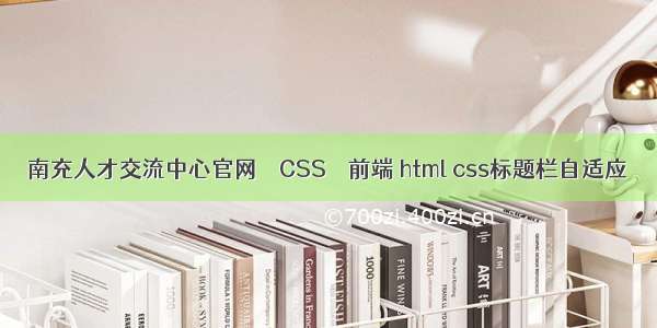 南充人才交流中心官网 – CSS – 前端 html css标题栏自适应