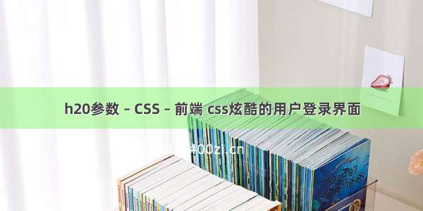 h20参数 – CSS – 前端 css炫酷的用户登录界面