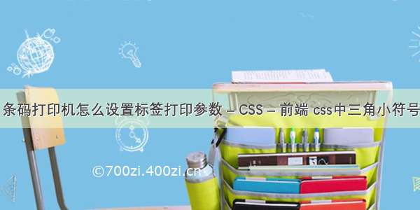 条码打印机怎么设置标签打印参数 – CSS – 前端 css中三角小符号