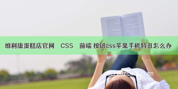 维利康蛋糕店官网 – CSS – 前端 按钮css苹果手机特丑怎么办