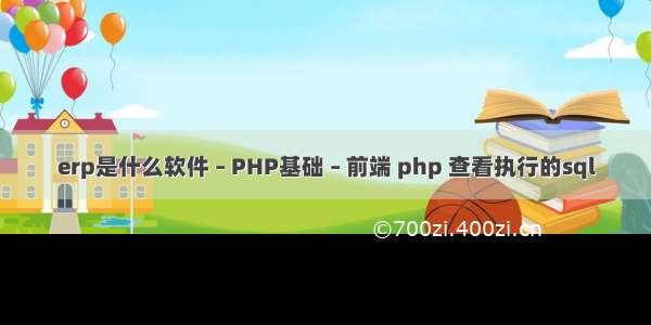 erp是什么软件 – PHP基础 – 前端 php 查看执行的sql