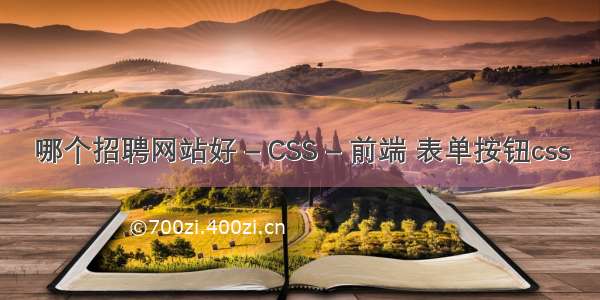 哪个招聘网站好 – CSS – 前端 表单按钮css