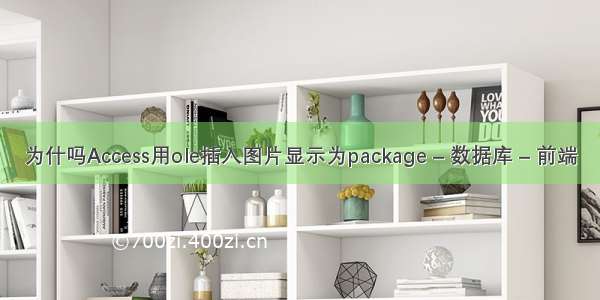 为什吗Access用ole插入图片显示为package – 数据库 – 前端