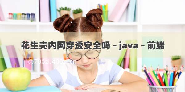 花生壳内网穿透安全吗 – java – 前端