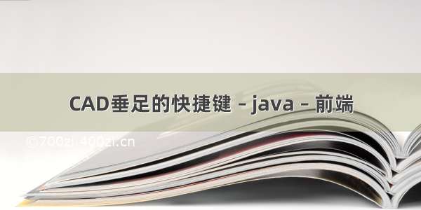 CAD垂足的快捷键 – java – 前端