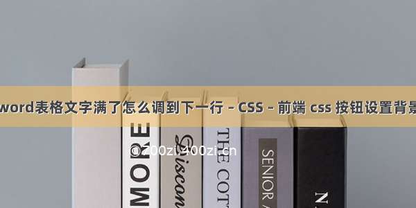 word表格文字满了怎么调到下一行 – CSS – 前端 css 按钮设置背景