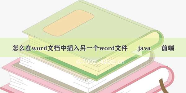 怎么在word文档中插入另一个word文件 – java – 前端