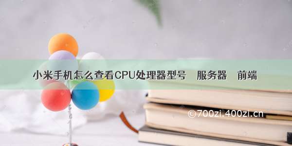 小米手机怎么查看CPU处理器型号 – 服务器 – 前端