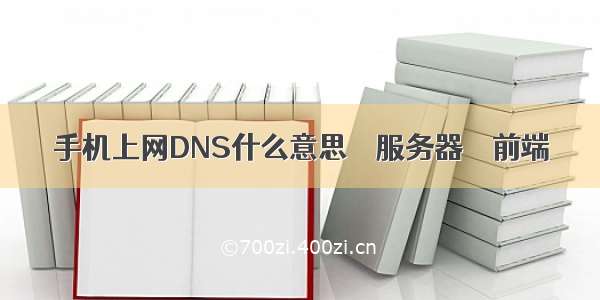 手机上网DNS什么意思 – 服务器 – 前端