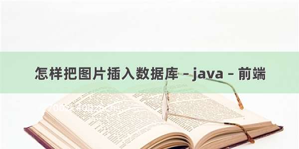 怎样把图片插入数据库 – java – 前端