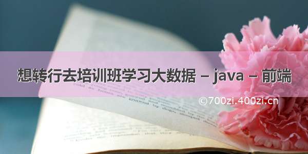 想转行去培训班学习大数据 – java – 前端