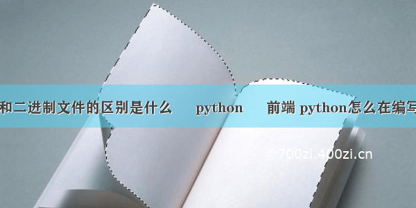 文本文件和二进制文件的区别是什么 – python – 前端 python怎么在编写代码提示