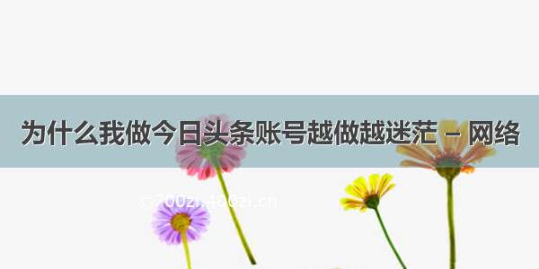 为什么我做今日头条账号越做越迷茫 – 网络