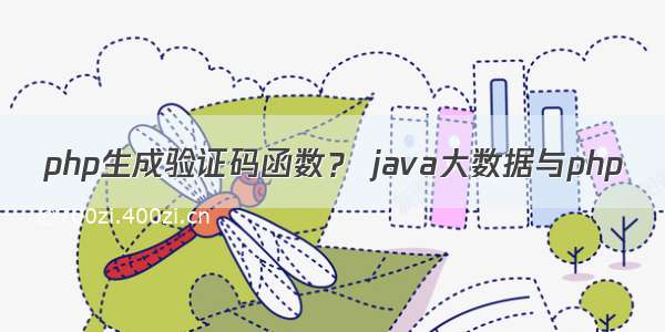 php生成验证码函数？ java大数据与php