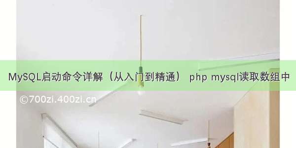 MySQL启动命令详解（从入门到精通） php mysql读取数组中