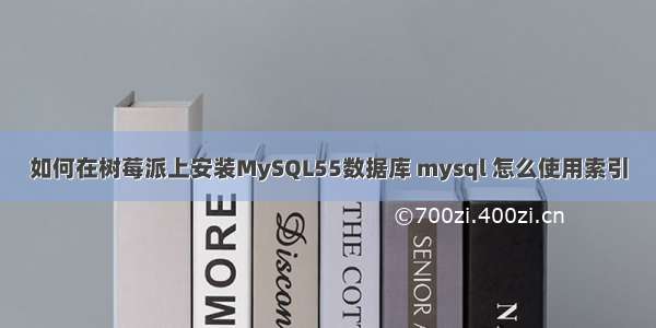 如何在树莓派上安装MySQL55数据库 mysql 怎么使用索引