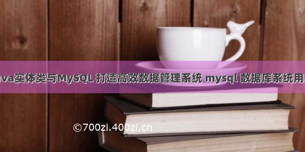 Java实体类与MySQL 打造高效数据管理系统 mysql 数据库系统用户