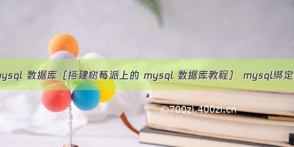 树莓派 mysql 数据库（搭建树莓派上的 mysql 数据库教程） mysql绑定变量用法