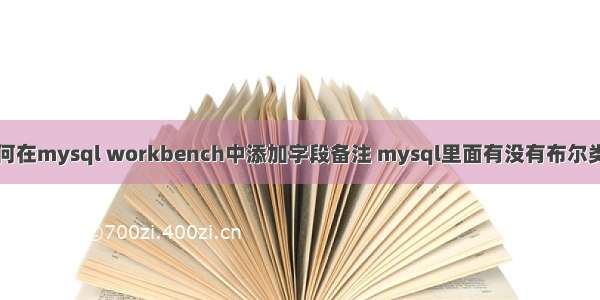 如何在mysql workbench中添加字段备注 mysql里面有没有布尔类型