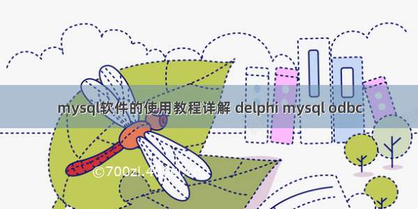 mysql软件的使用教程详解 delphi mysql odbc