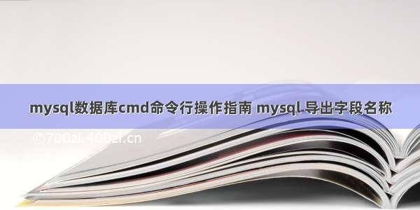 mysql数据库cmd命令行操作指南 mysql 导出字段名称