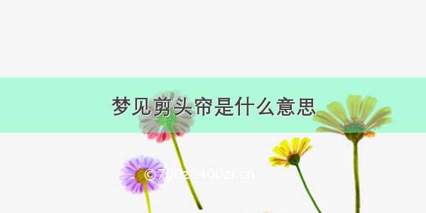 梦见剪头帘是什么意思