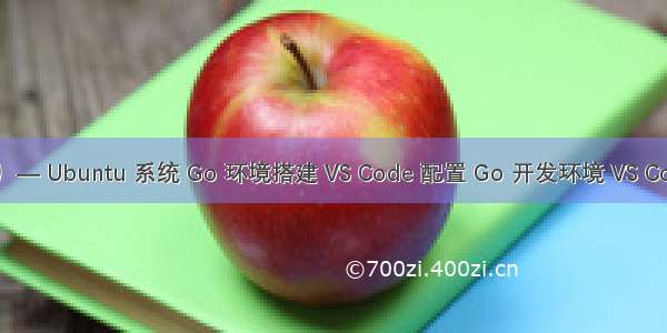 Go 学习笔记（1）— Ubuntu 系统 Go 环境搭建 VS Code 配置 Go 开发环境 VS Code 远程开发配置