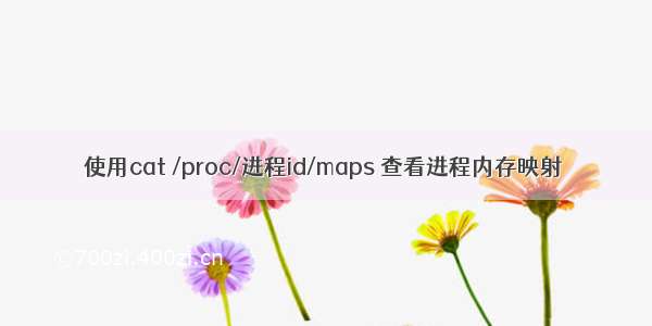 使用cat /proc/进程id/maps 查看进程内存映射